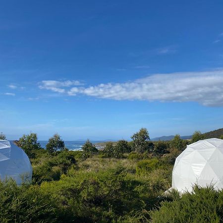 Little Beach Glamping Four Mile Creek Exterior foto